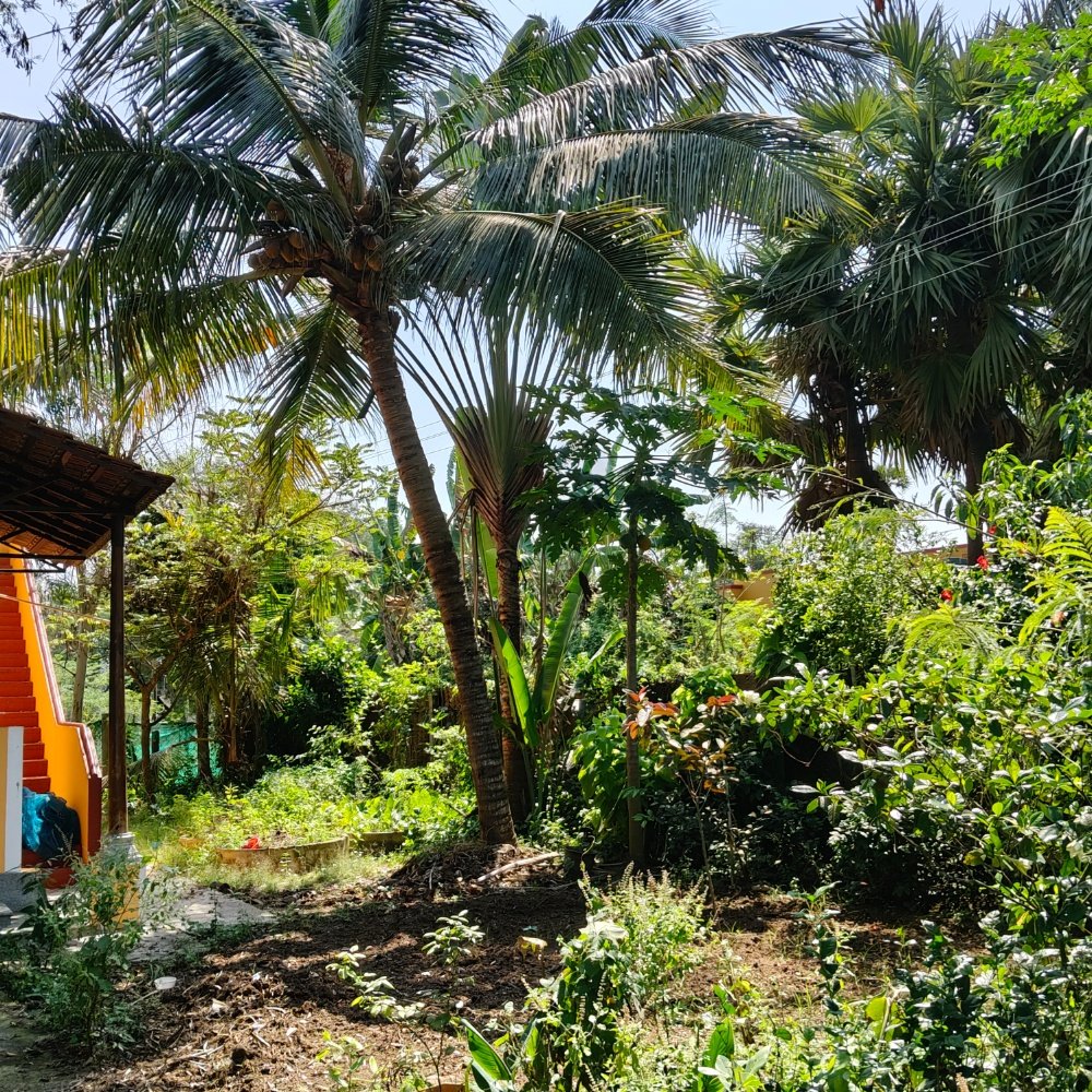 ECR FARM LAND SALE property in Ecr anaikkattu