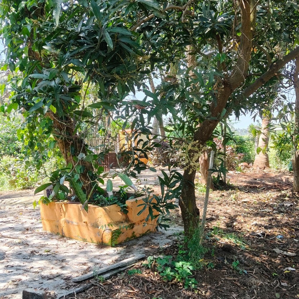 ECR FARM LAND SALE property in Ecr anaikkattu