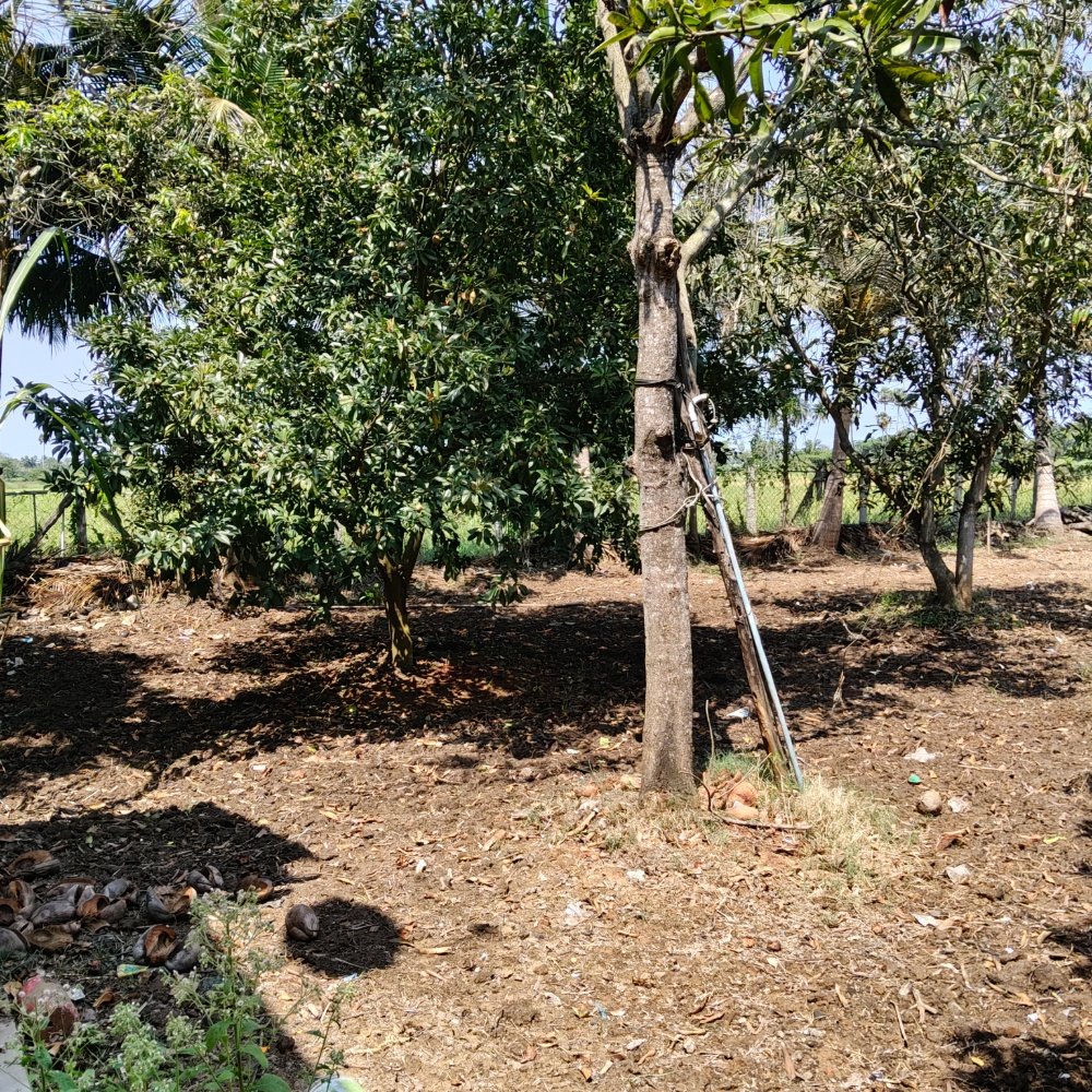 ECR FARM LAND SALE property in Ecr anaikkattu