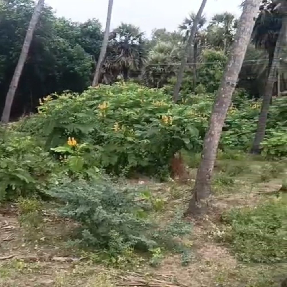 ON ROAD ECR PROPERTY SALE property in Ecr Mugaiyur 