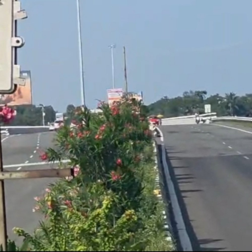 Prime ECR Commercial Beachside Plot for Sale at Muttukadu – Opposite Boat House Near Kovalam Junctio property in ECR, Muttukadu Opposite Muttukadu Boat House Just 1.5 Km from Kovalam Junction