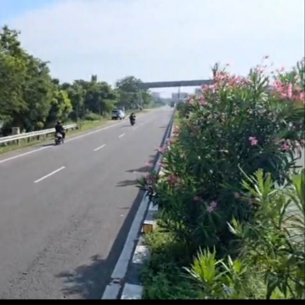 Prime ECR Commercial Beachside Plot for Sale at Muttukadu – Opposite Boat House Near Kovalam Junctio property in ECR, Muttukadu Opposite Muttukadu Boat House Just 1.5 Km from Kovalam Junction