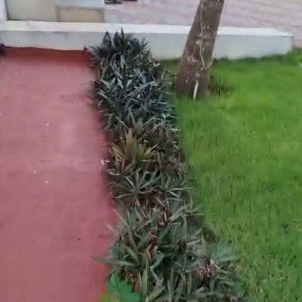 ECR FARM LAND SECR FARM HOUSESALEALE property in Paramankeni