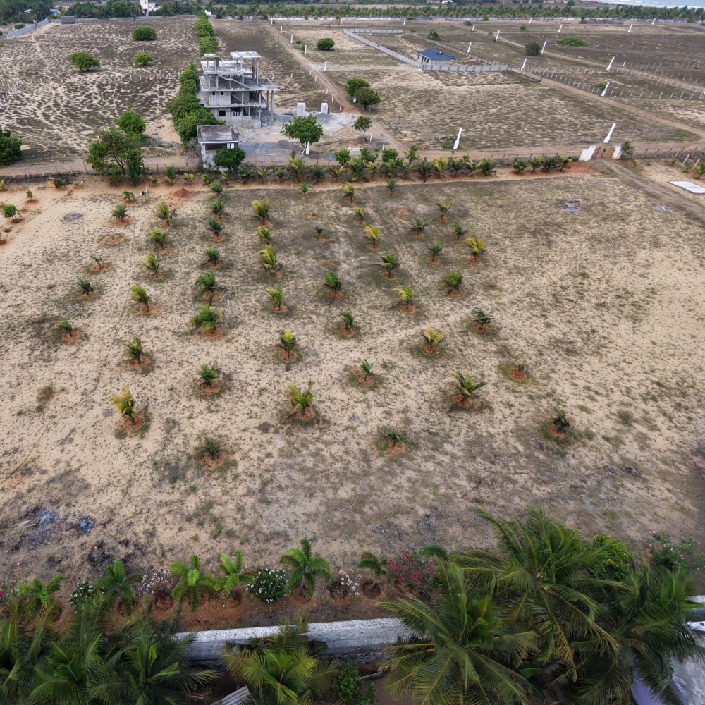 Beach Side Property At Paramankeni Near Mudhaliyar Kuppam Boat House. - Farmland in Paramankeni, ECR, Chennai 3.25 Acres for sale - gallery image 1
