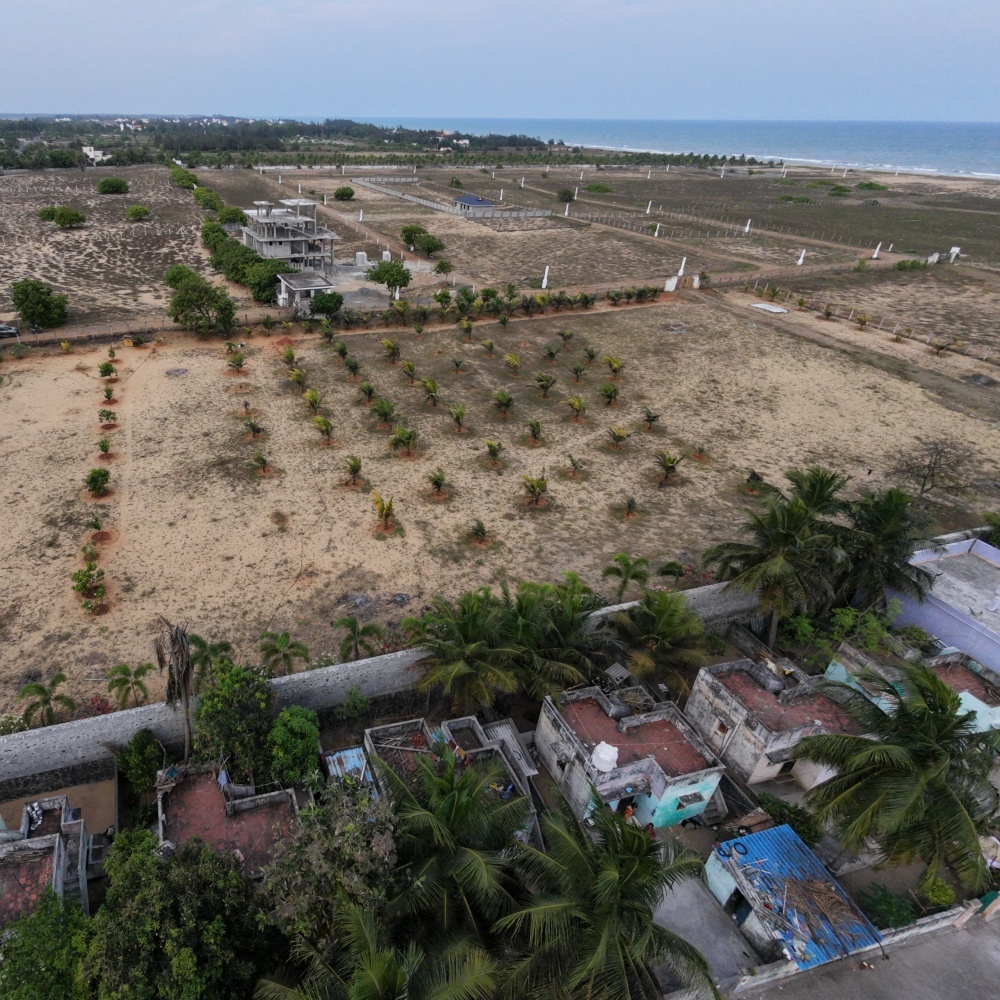 Beach Side Property At Paramankeni Near Mudhaliyar Kuppam Boat House. - Farmland in Paramankeni, ECR, Chennai 3.25 Acres for sale - gallery image 3