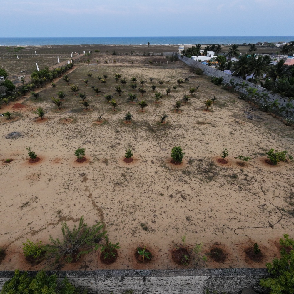 Beach Side Property At Paramankeni Near Mudhaliyar Kuppam Boat House. - Farmland in Paramankeni, ECR, Chennai 3.25 Acres for sale