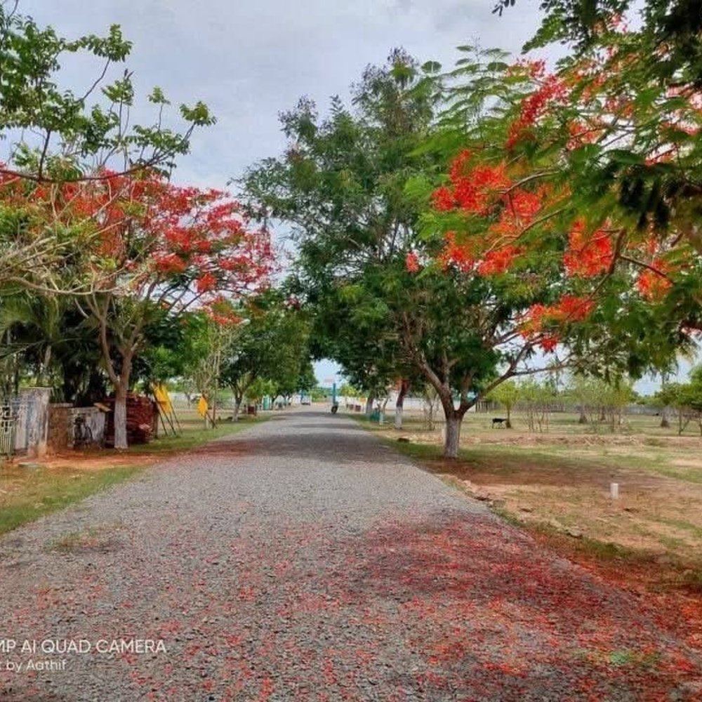 ECR DTCP Approved Property | 150Mtrs From New ECR property in Kalpakkam