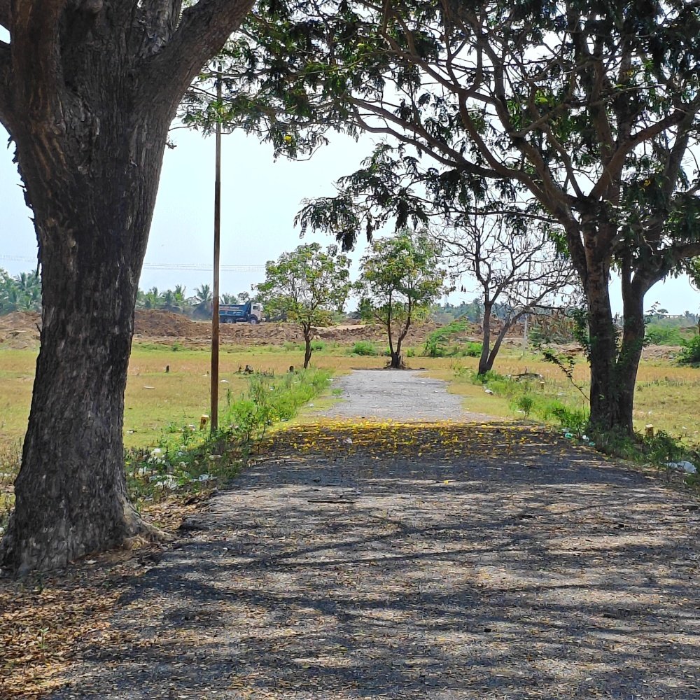 ECR DTCP Approved Property | 150Mtrs From New ECR property in Kalpakkam