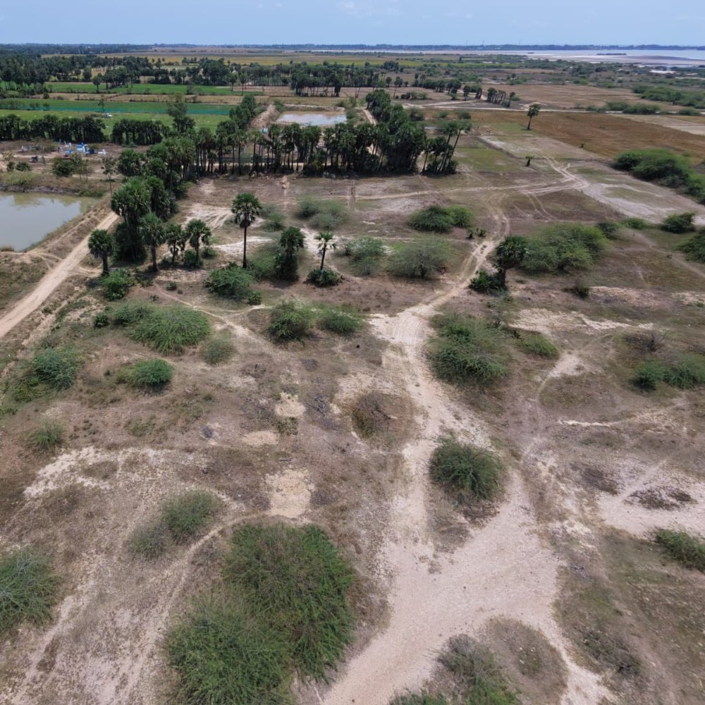 Buy 1 Get 1 Free Farm Land For Sales 25+25Cents property in Paramankeni